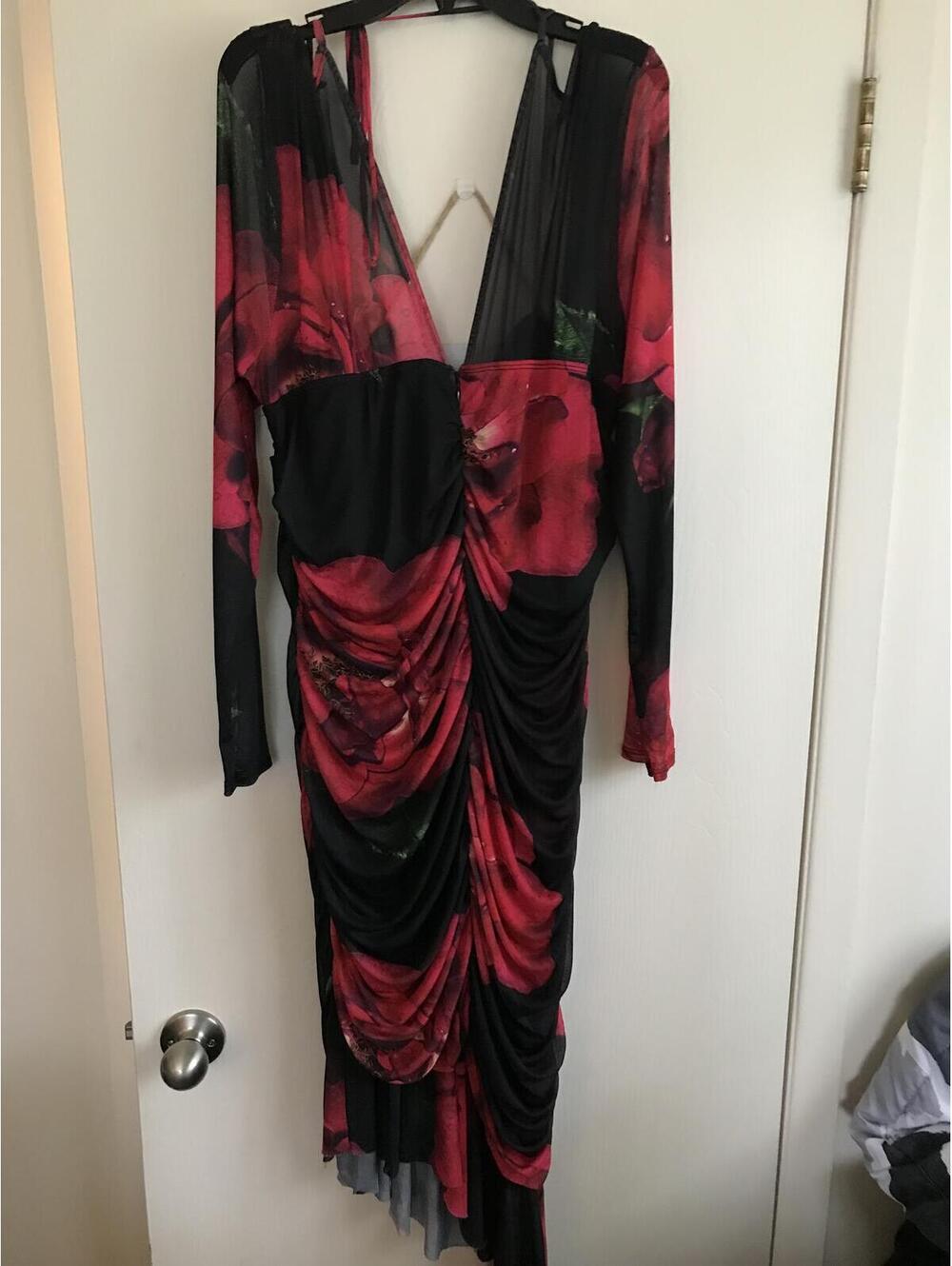 Plus Size 3X Black and Red Floral Ruched Mesh Dress